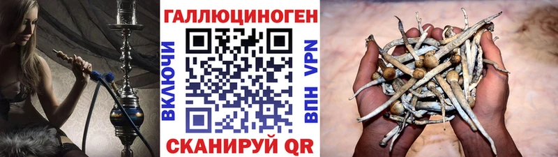 Псилоцибиновые грибы мухоморы Купить где Новый Оскол
